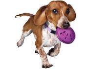 Brinquedo para Cachorro de Borracha Busy Buddy Twist N Treat PetSafe