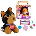 Brinquedo Pelúcia Adota Pets Multilaser - Multikids