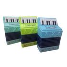 Brinquedo Sanfona Mini Acordeon Infantil Com 3 Baixos E 10 Teclas