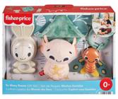 Brinquedo sensorial para bebês Fisher-Price 4 peças - Mattel