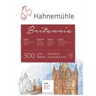 Britannia Hahnemuhle 300g Fina 36x48 12fls