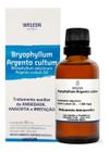Bryophyllum Argento Cultum Solução Oral 50ml Weleda