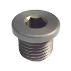 Bujao Bloco Motor 16 X 1,5 Mm Om352 Om366 Om904 Om906 - ROCHEPECAS