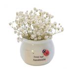 Buquê de Gypsophila Seca (Branco) com Vaso de Porcelana