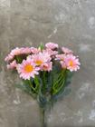 Buquê de Mini Margarida 34x12x5cm com 21 flores - Rosa