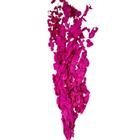 Buquê Eucalipto Pink Desidratado Seco Para Arranjo Decoração