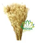 Buque Pluma Pampas Grass Luxo Arranjo Elegante Decoração Lar