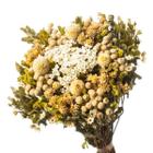 Buquê Preservado Rústico Colorido I Flores Desidratadas