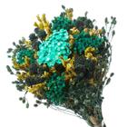 Buquê Preservado Rústico Colorido I Flores Desidratadas