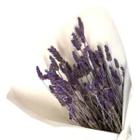 Buquêzinho De Lavanda Natural I Flores Desidratadas