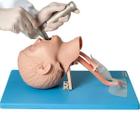 Cabeça Infantil Intubação Traqueal Avançado Simulador Médico