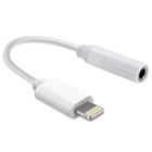 Cabo Adaptador Compatível Com Lightning/Iphone Para Fone Ouvido P2-P3 - CAB29