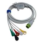 Cabo Ecg 5 Vias Lifemed M10 M12 M15 Clip Botão - Maple Hospitalar