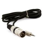 Cabo P2 para XLR Macho Estereo - 30 Metros