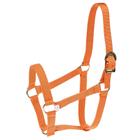 Cabresto para Cavalo de Nylon Laranja Kauana 27313