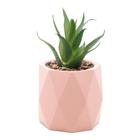 Cachepot de Cimento Com Suculenta Diamond Rosa 10cm X 17cm - Wolff