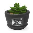 Cachepot Preto Home Tipo Cimento Com Suculenta