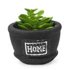 Cachepot Preto Home Tipo Cimento Com Suculenta - FWB