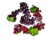 Cacho De Uva Fruta Artificial Realístico Kit Com 6 Unidades