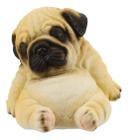 Cachorro Pug Dormindo 12cm - Animais Resina - Taimes