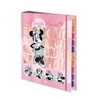 Cad.arg.univ.minnie 4416