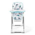 Cadeira De Alimentação Infantil Bebê Chair Azul Fisher Price