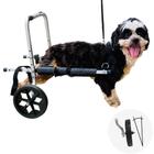 Cadeira De Rodas Para Cachorro Pequeno Porte De 3,5 A 7Kg Anti Tombo