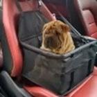 Cadeirinha Pet Assento De Carro Para Cachorro Gato