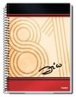 Caderno 1 Matéria Zico 80 Fls Time Flamengo Com Poster 56x50 - Credeal