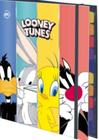 Caderno argolado looney tunes colegial c/48fls 3756 - DAC