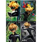 Caderno Cartografia E Desenho 80fls Miraculous Cat Noir - Tilibra - Caderno  de Cartografia - Magazine Luiza