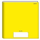 Caderno brochura 1/4 cd amarelo 96fls stiff fsc jandaia 00053 55