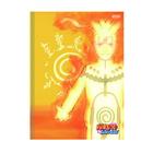 Caderno Brochura 1/4 Naruto Shippuden 80 Folhas SD