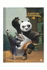 Caderno Brochura Capa Dura 80 Folhas - Kung Fu Panda - Animativa