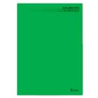 Caderno Brochurão Caligrafia C.D. 48 Fls Tamoio - Verde