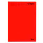 Caderno Brochurão Caligrafia C.D. 96 Fls Tamoio - Vermelho