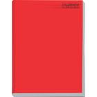 Caderno Caligrafia Capa Dura Liso 96F Brochurao Vermelho