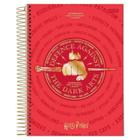 Caderno De 10 Materias 200f Harry Potter