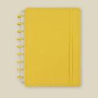 Caderno De Disco Basic Colegial Capa Lisa 80 Folhas - WINCY