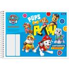 Caderno Desenho Universitario Patrulha Canina Flexivel 48F PCT.C/10