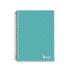 Caderno Espiral 1/4 com 96fls Colors Verde Claro - Tamoio