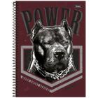 Caderno Foroni universitário power dog 200x275mm 240 folhas