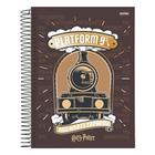 Caderno harry potter espiral 96f 1 materia - jandaia