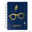 Caderno Inteligente Grande Ci By Harry Potter Azul CIGD4343