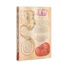 Caderno Paperblanks Mira Botanica Lily & Tomato Mini Pautado Capa Flexível 208 Páginas