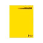 Caderno Pedagógico C.D. Brochura 1/4 Pauta Verde 48 Fls Tamoio - Amarelo