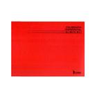 Caderno Pedagógico C.D. Brochura Caligrafia Horizontal Vermelho 96fls - Tamoio
