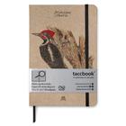 Caderno Quadriculado taccbook Pipa-pau Banda Bca 14x21 Ríg.