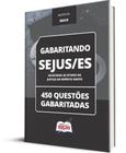 Caderno SEJUS-ES - Inspetor Penitenciário - 450 Questões Gabaritadas