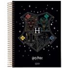 Caderno universitário 10 matérias 160 folhas Premium Harry Potter Jandaia